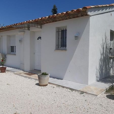 Le Coin Des Oliviers Villa Puget-sur-Argens Eksteriør billede