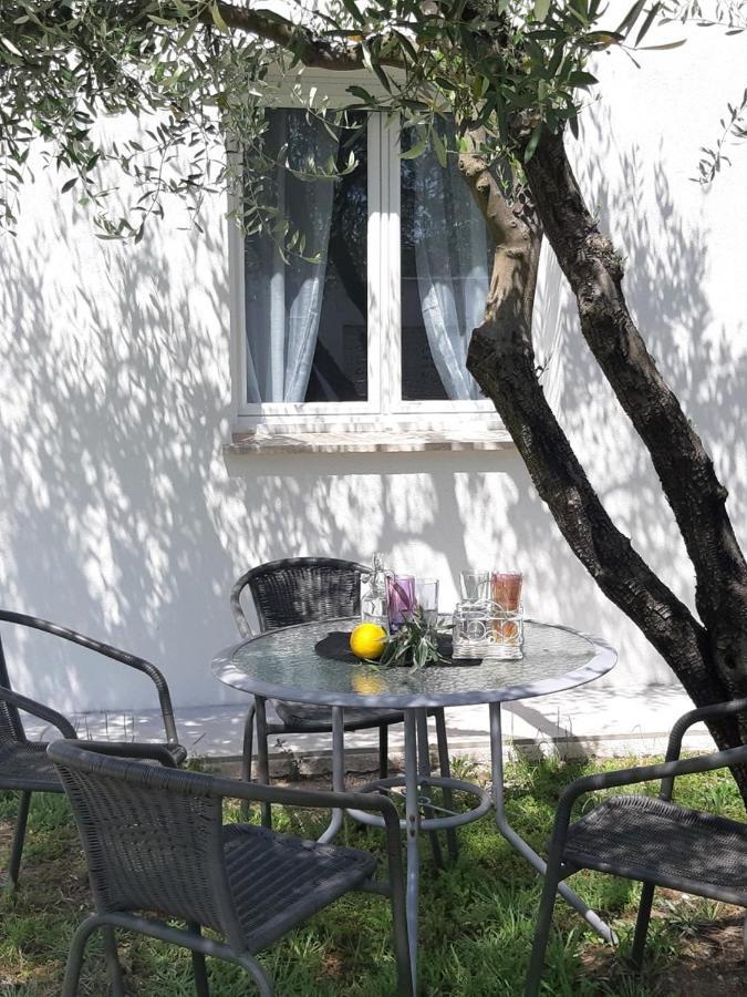 Le Coin Des Oliviers Villa Puget-sur-Argens Eksteriør billede