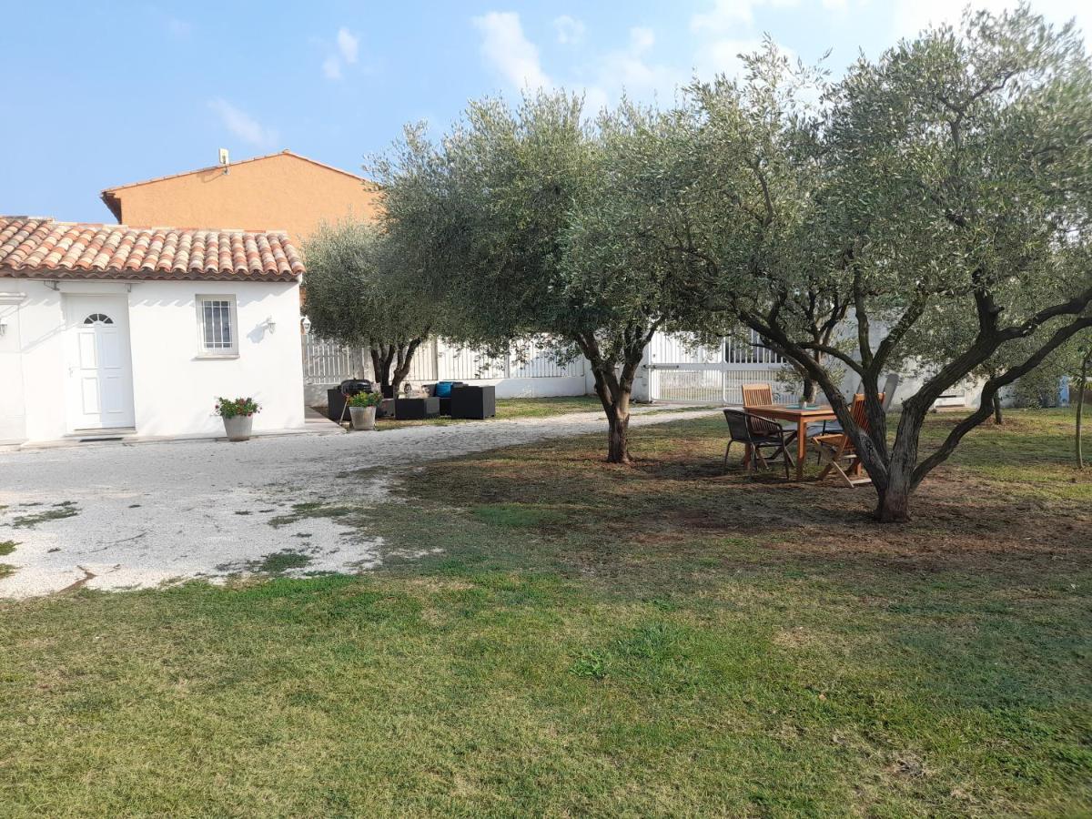 Le Coin Des Oliviers Villa Puget-sur-Argens Eksteriør billede